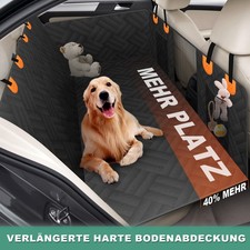 Harter Boden Hundedecke